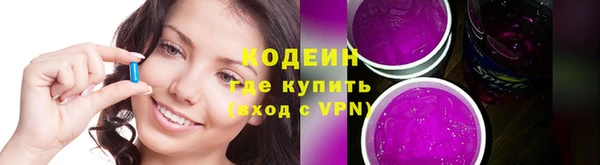 не бодяженный Алексин