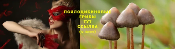 меф Алзамай