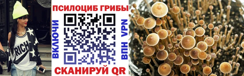 купить закладку Калининск Псилоцибиновые грибы GOLDEN TEACHER